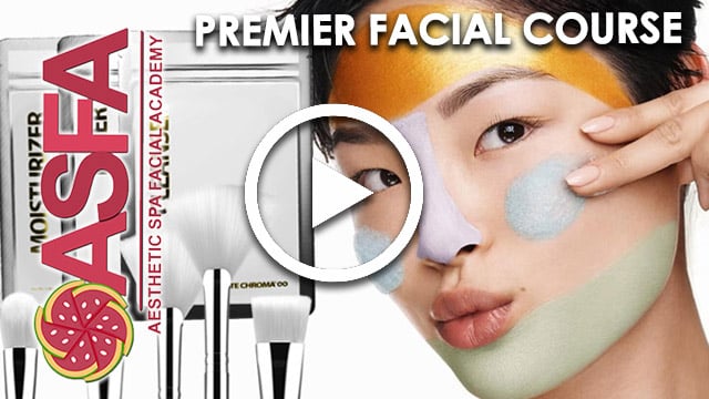 premier facial course